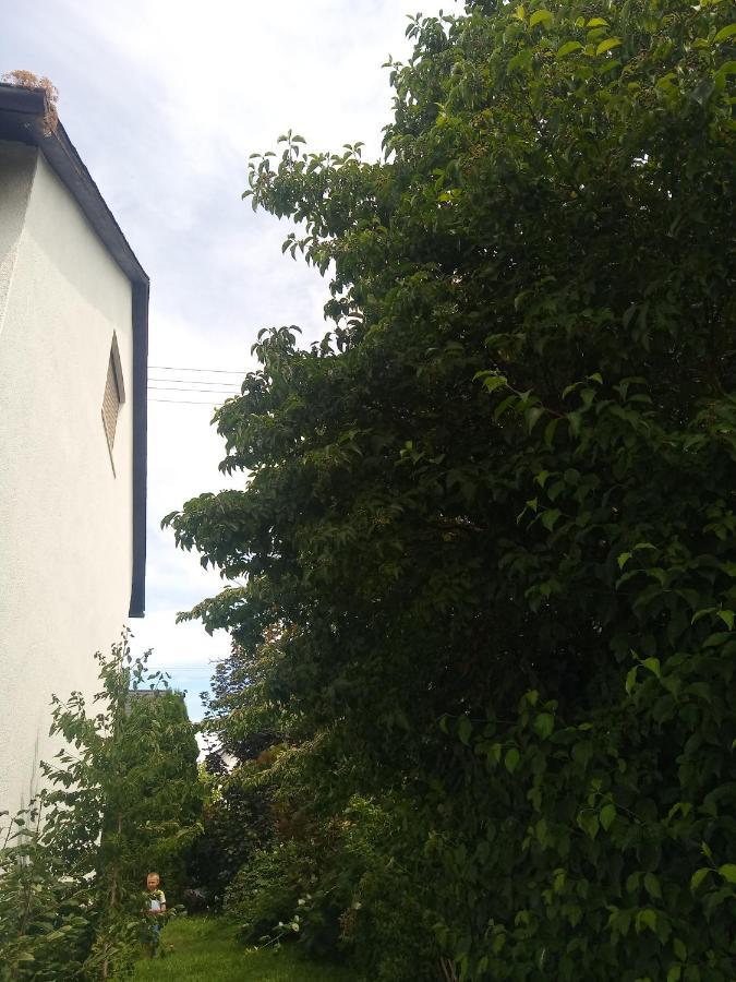 Studio Apartment Bermatingen ภายนอก รูปภาพ